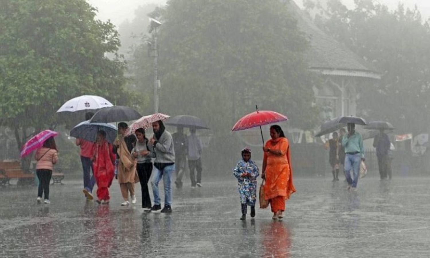 Weather Forecast